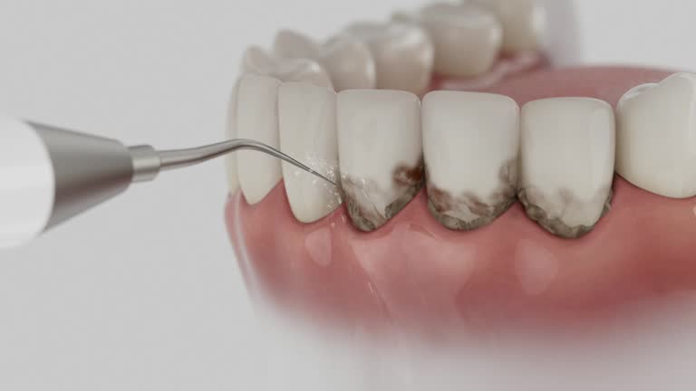 Reliable Dental contractor in Olla, LA by Dentist Open Now